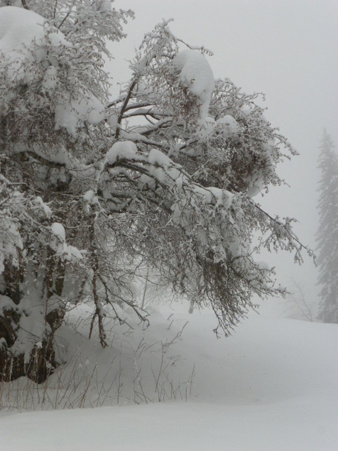 Retour sur le séjour neige + 50 ans à Autrans